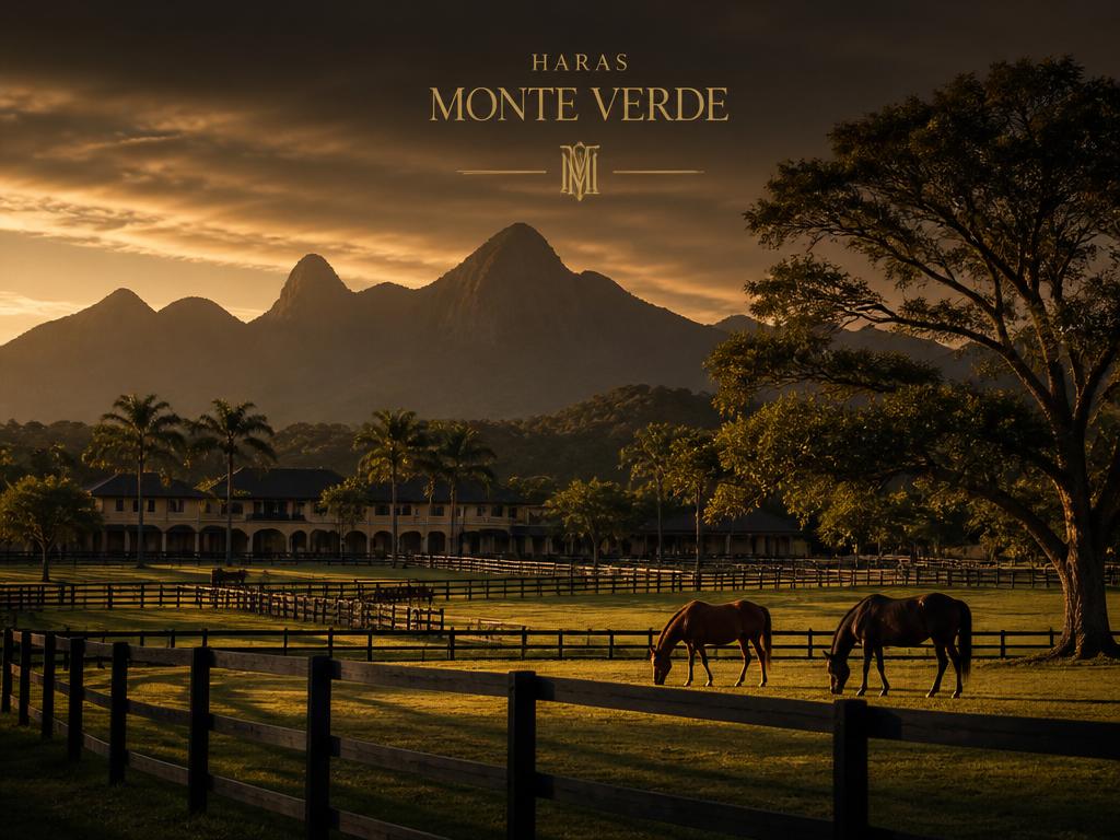 Piquetes com cavalos ao entardecer